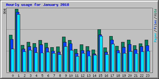 Hourly usage for January 2018